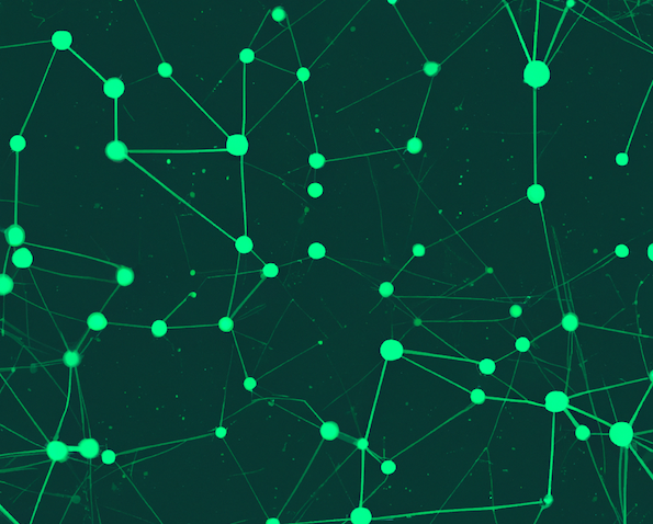 Ein Netzwerk aus grünen Knotenpunkten auf dunklem Hintergrund